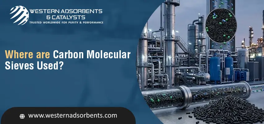 Where are Carbon Molecular Sieves Used?